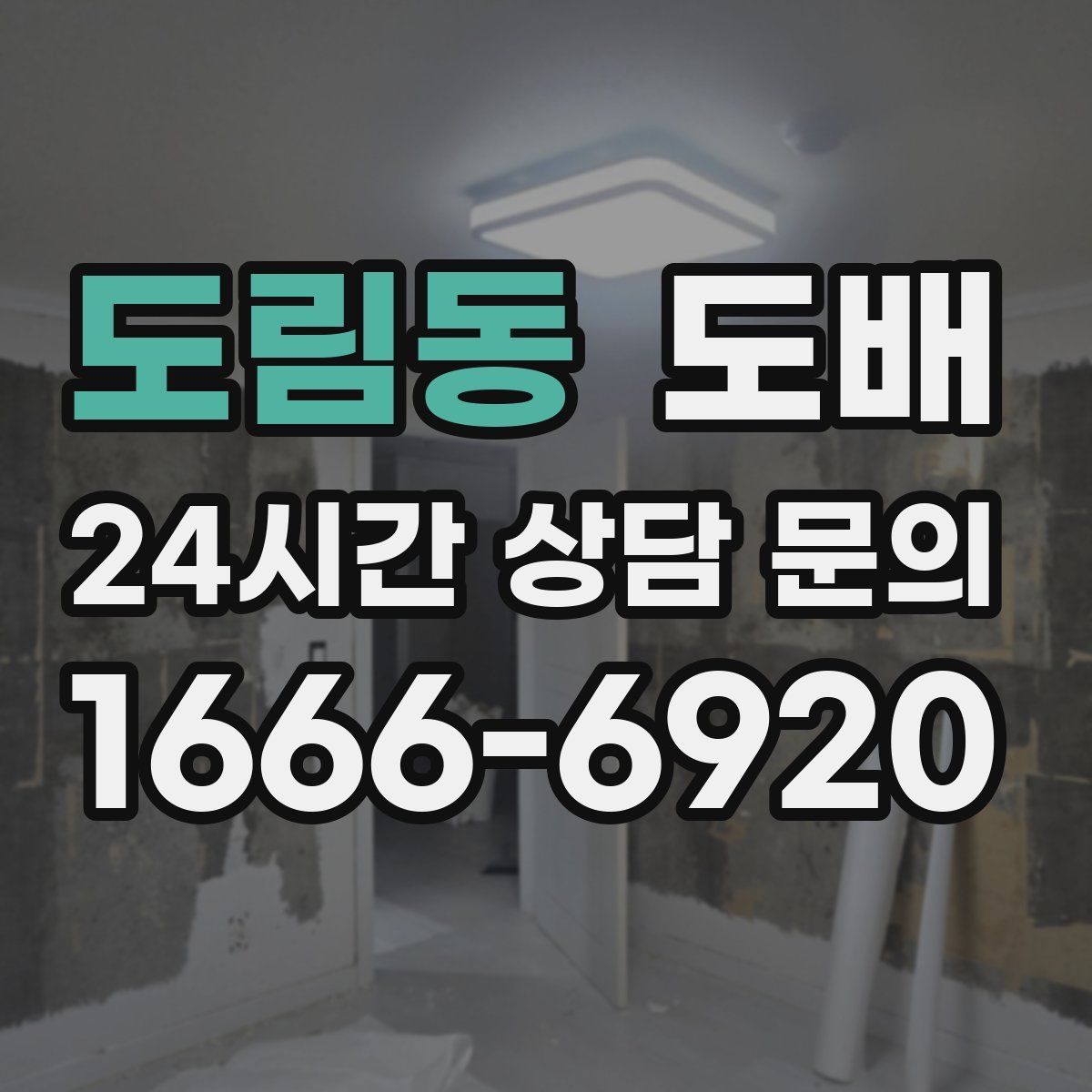 도림동 도배