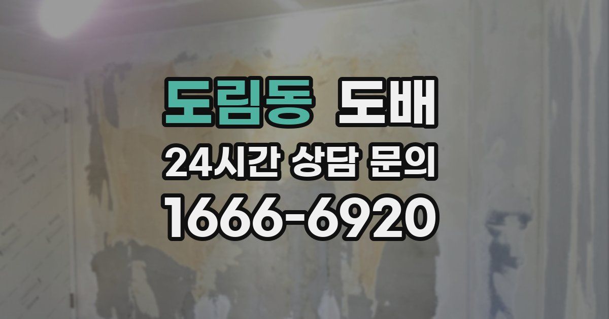 도림동 도배