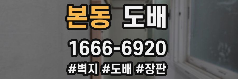본동 도배