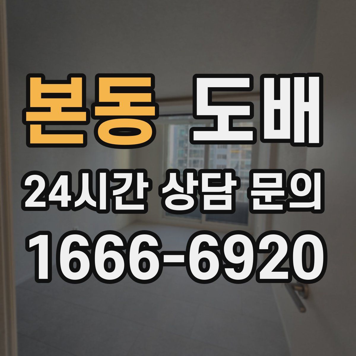 본동 도배