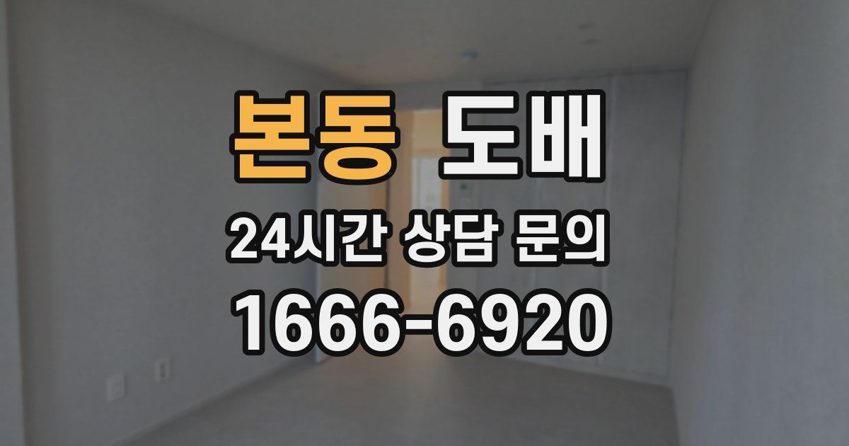 본동 도배