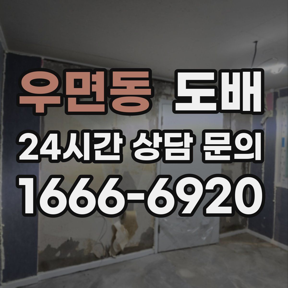 우면동 도배
