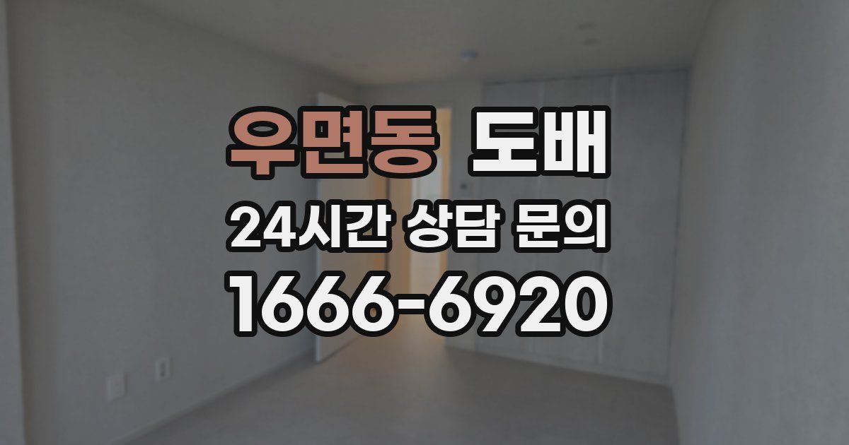 우면동 도배