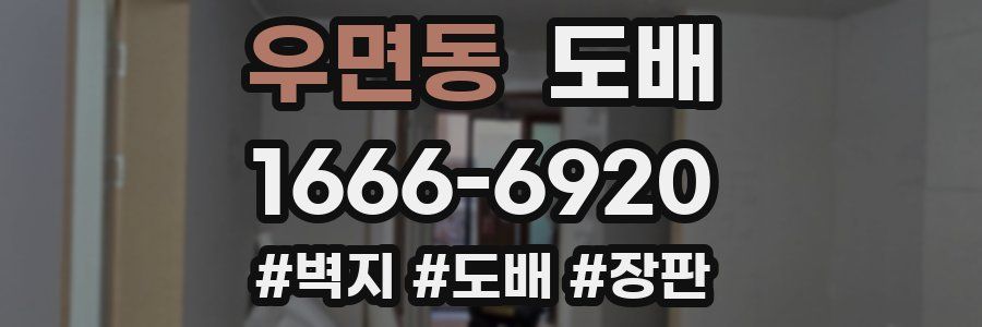 우면동 도배