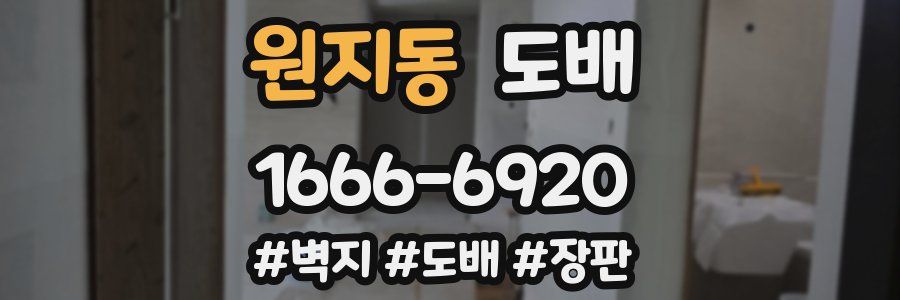 원지동 도배