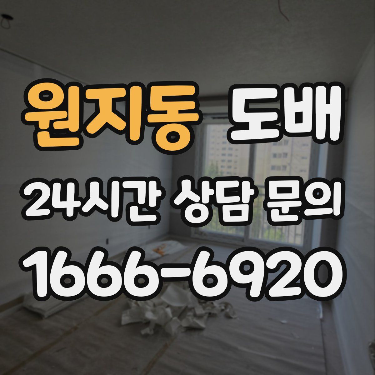 원지동 도배