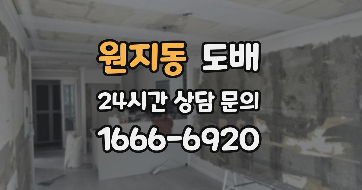 원지동 도배