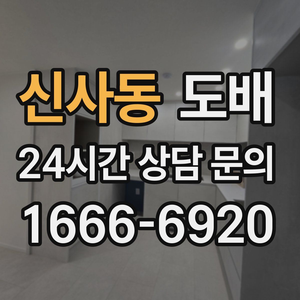 신사동 도배