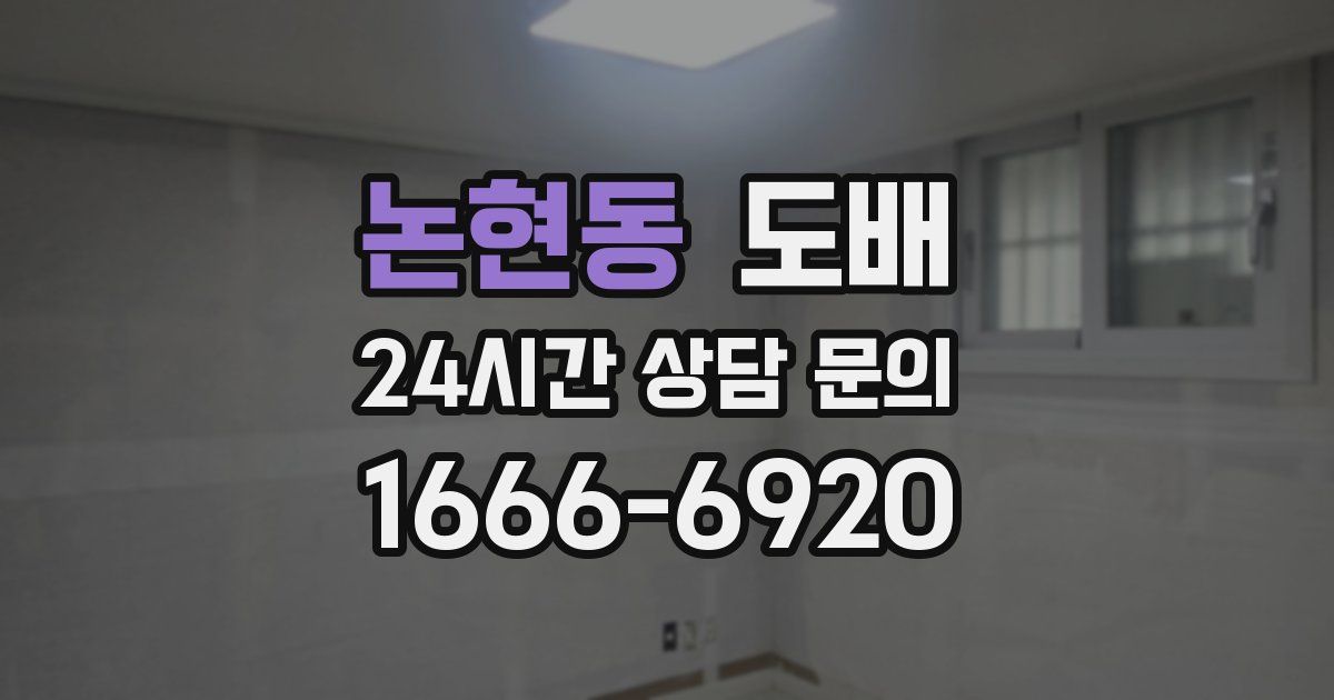 논현동 도배
