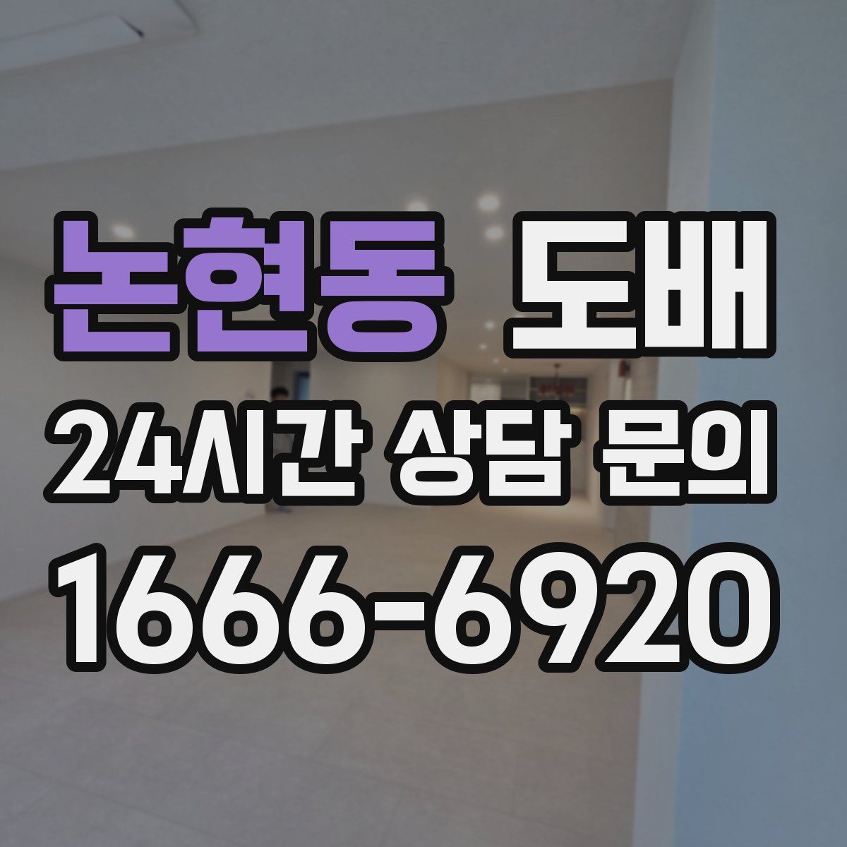 논현동 도배