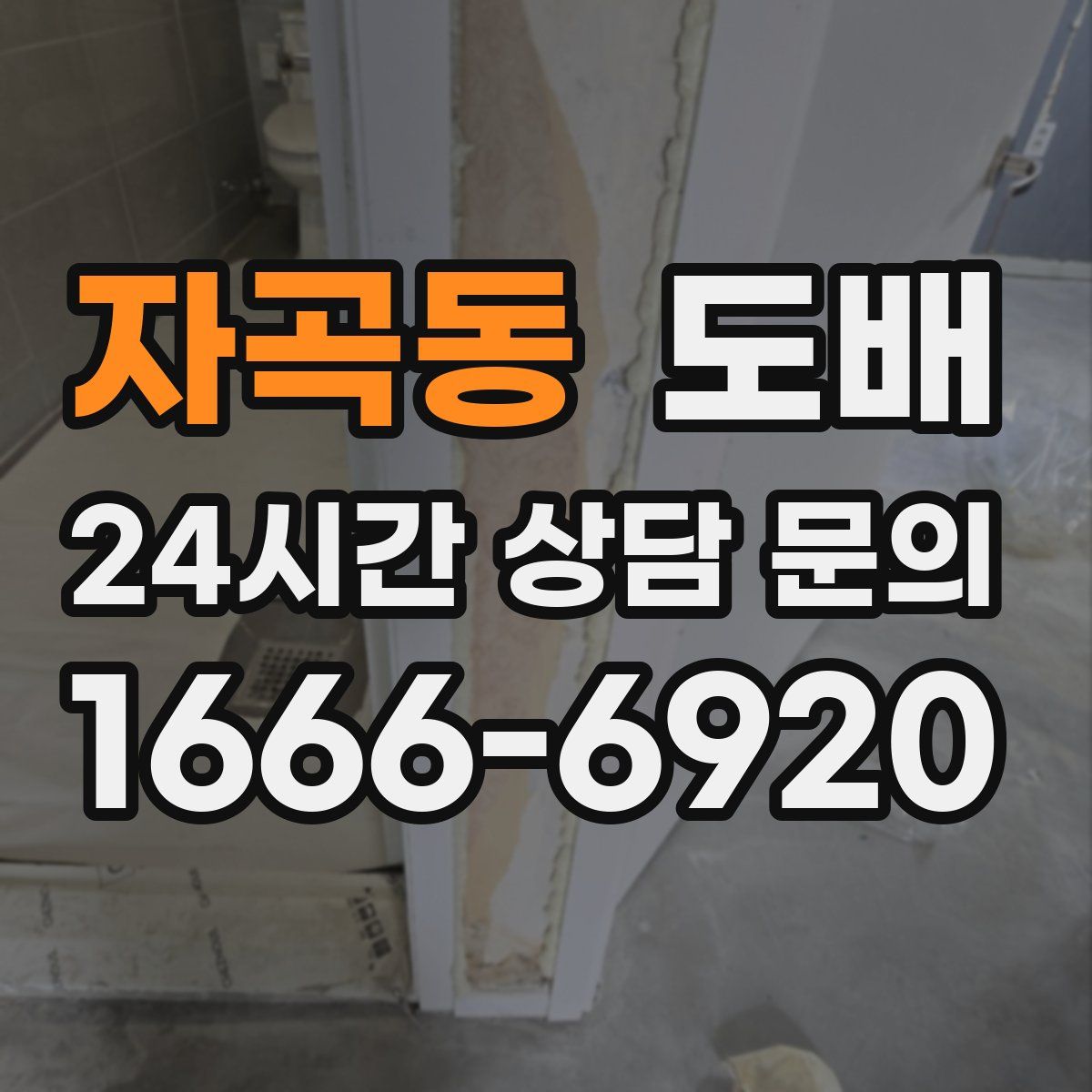 자곡동 도배