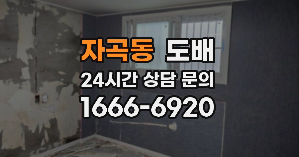 자곡동 도배