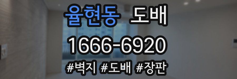 율현동 도배