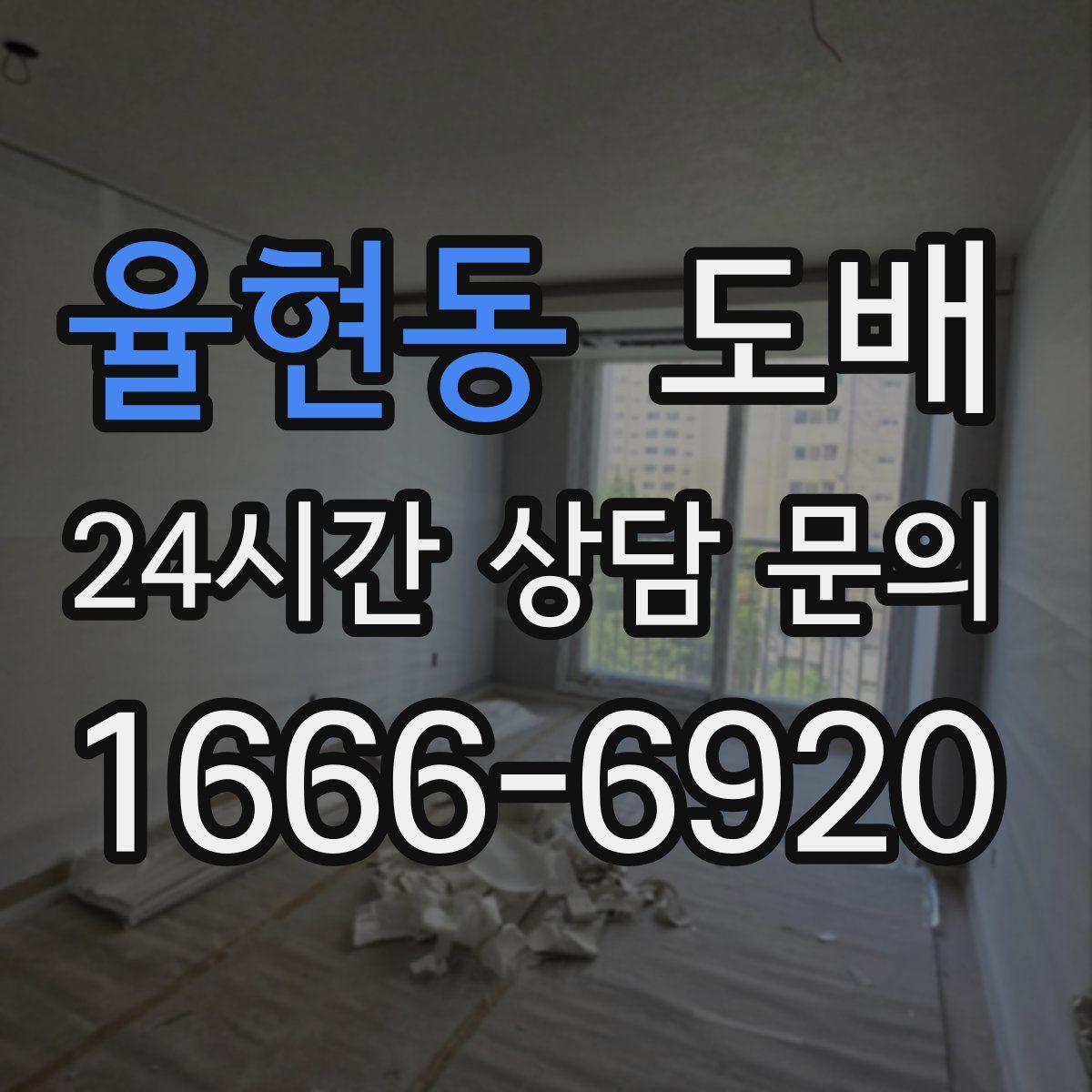 율현동 도배