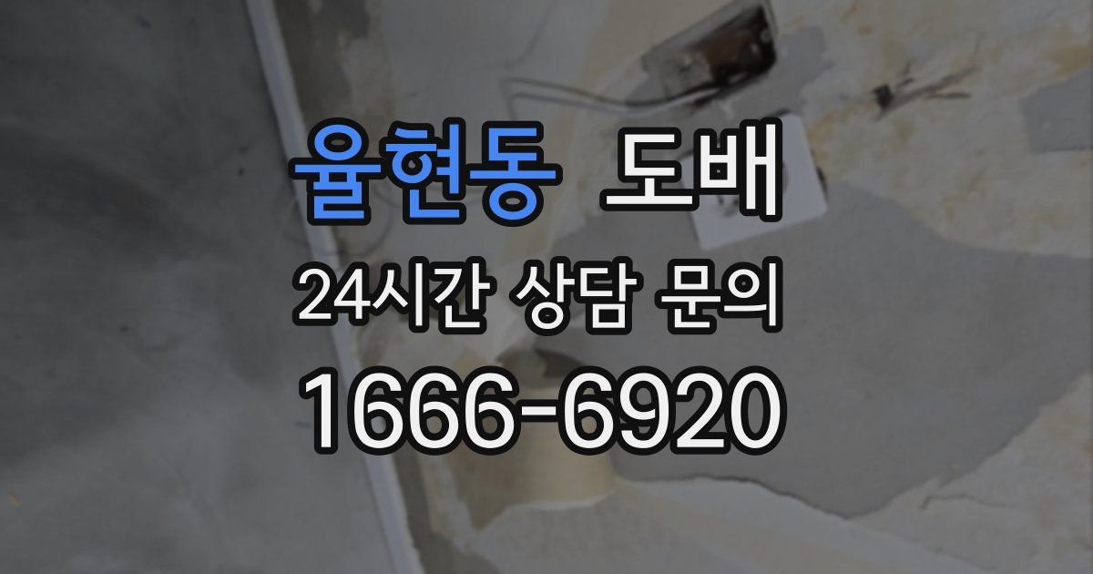 율현동 도배