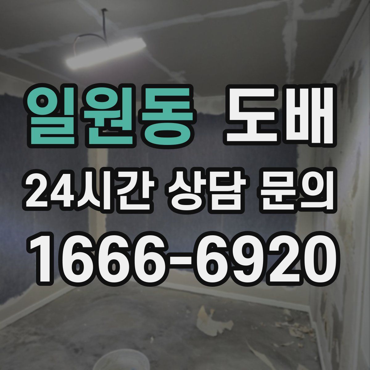 일원동 도배