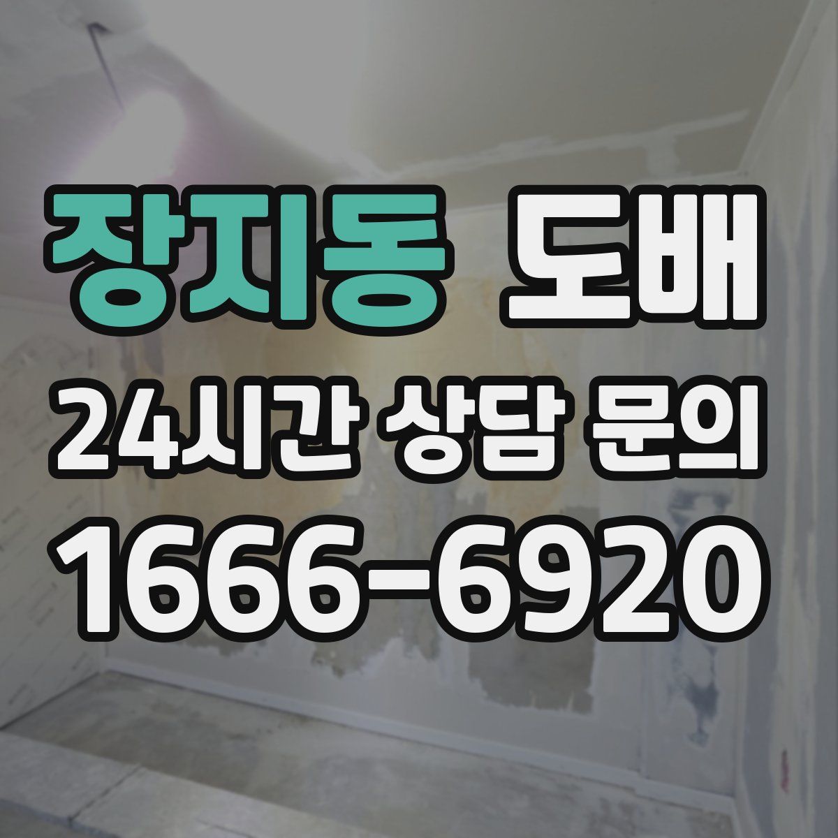 장지동 도배