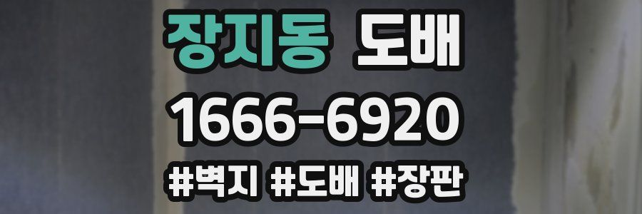 장지동 도배