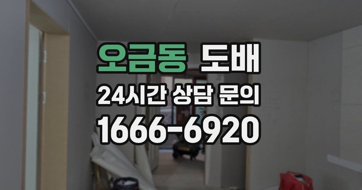오금동 도배