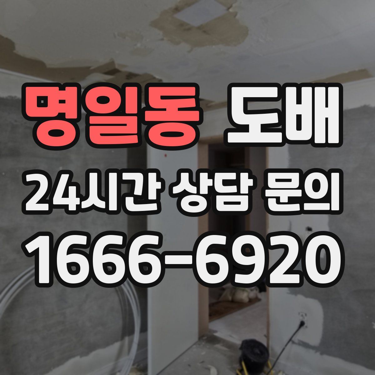 명일동 도배
