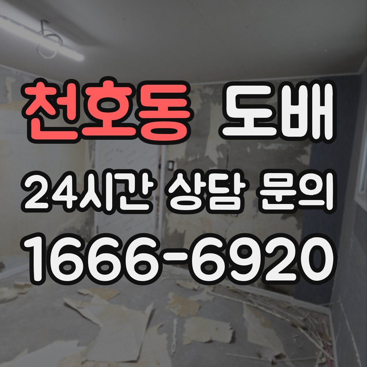 천호동 도배