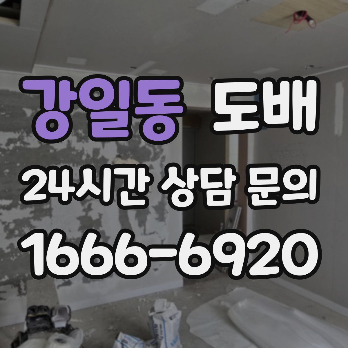 강일동 도배