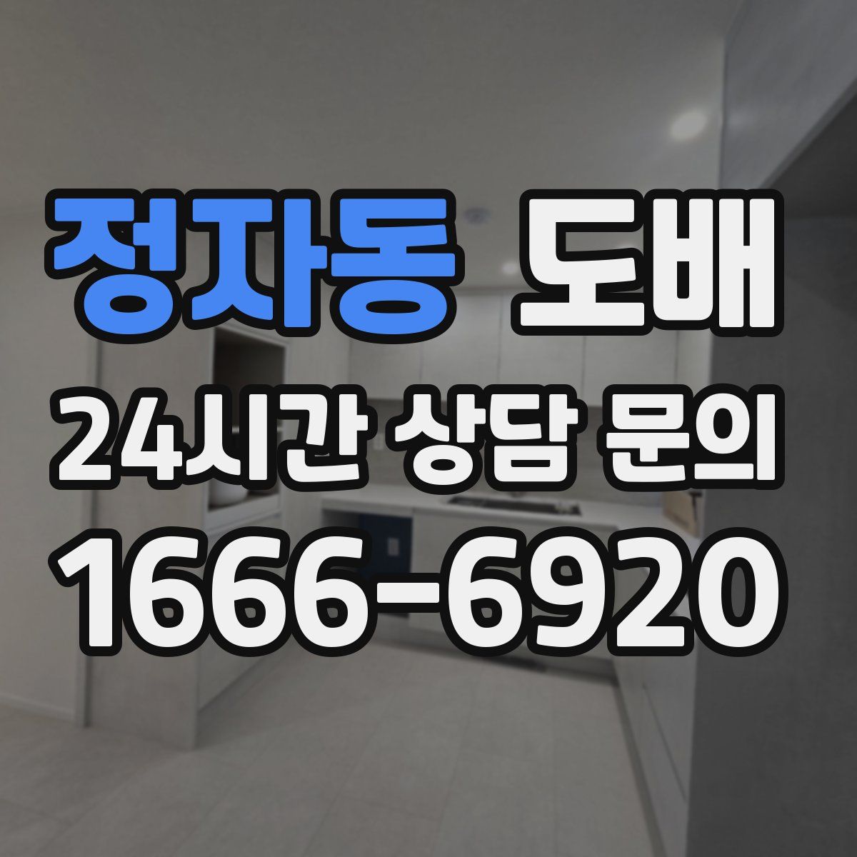정자동 도배