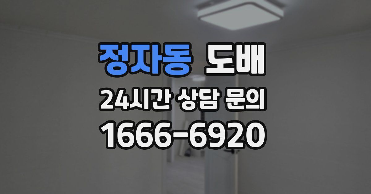 정자동 도배