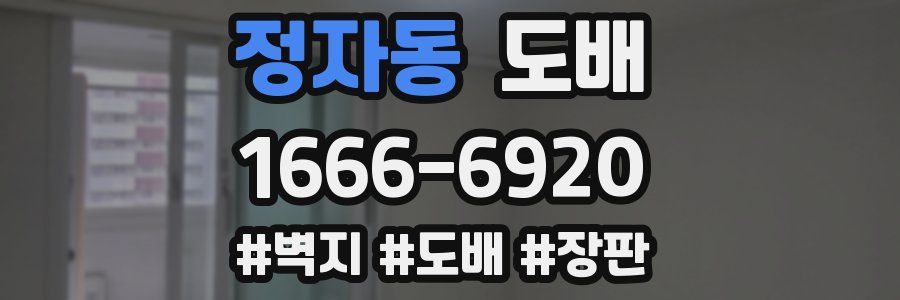 정자동 도배