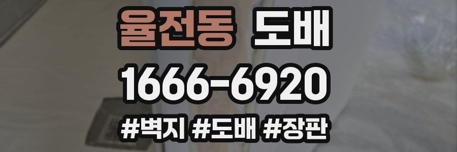 율전동 도배