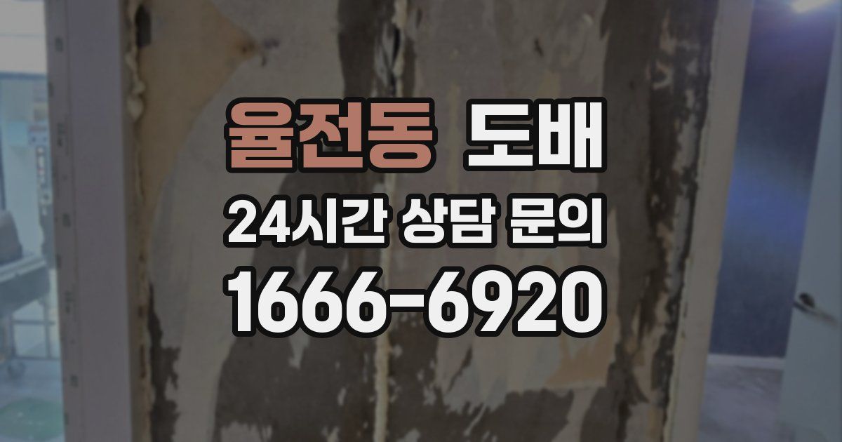 율전동 도배