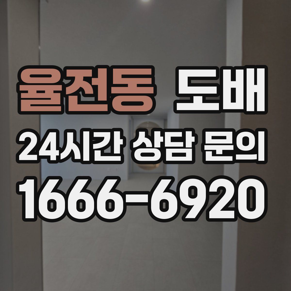 율전동 도배