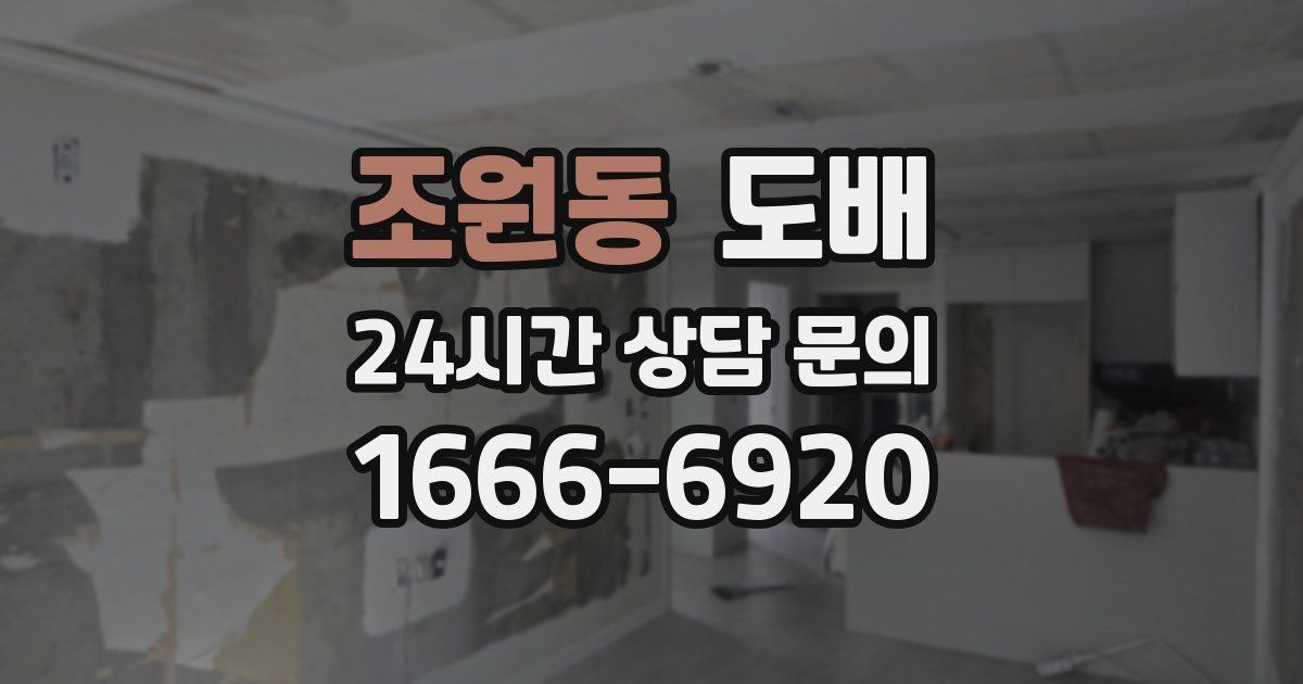 조원동 도배