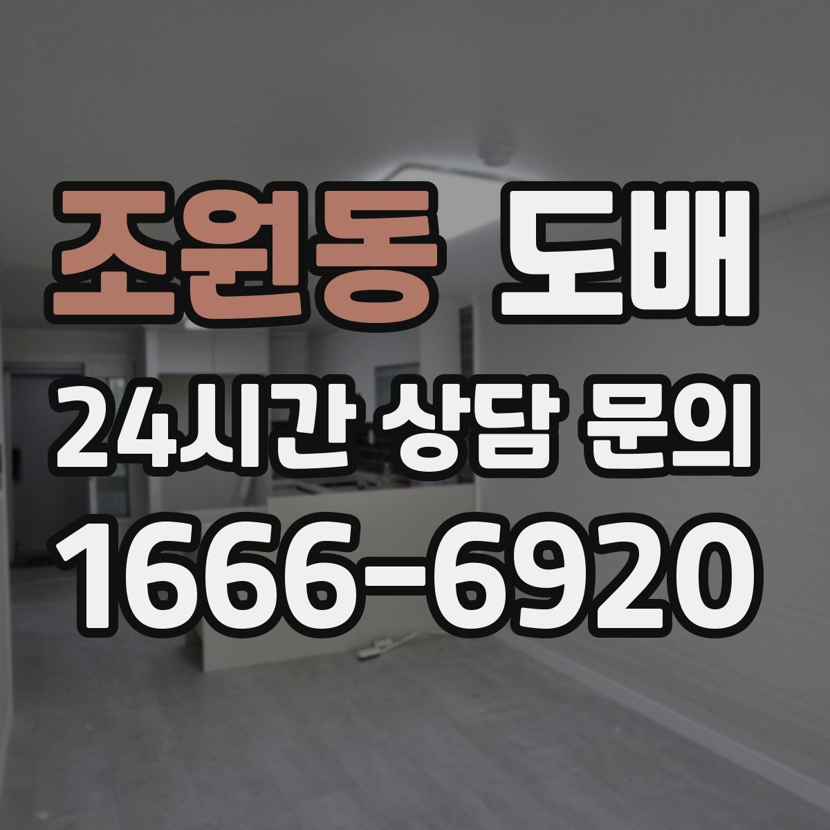 조원동 도배