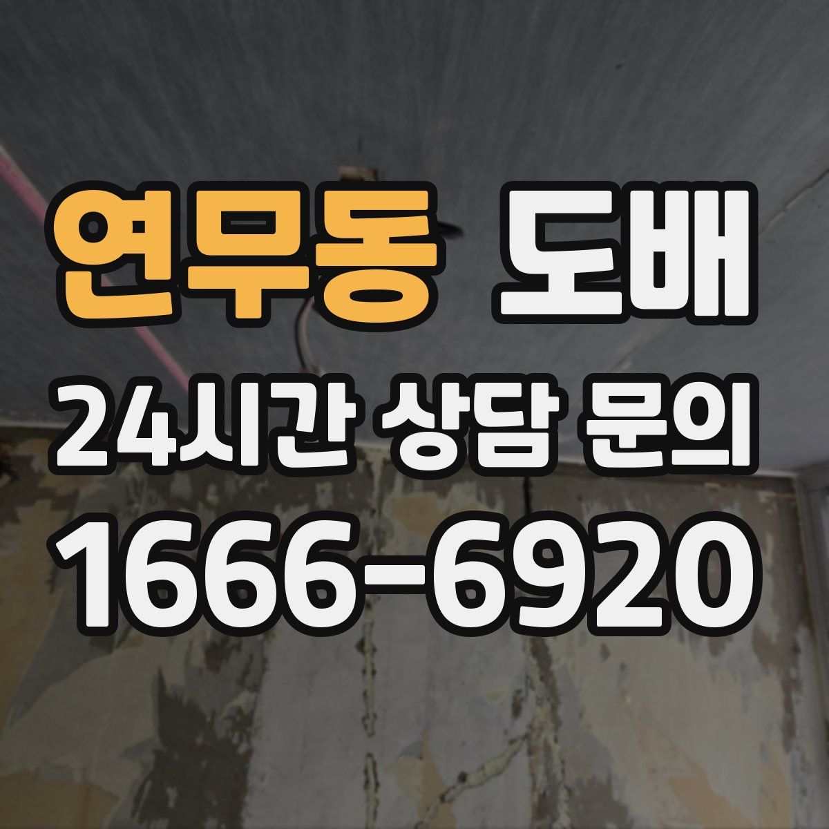 연무동 도배