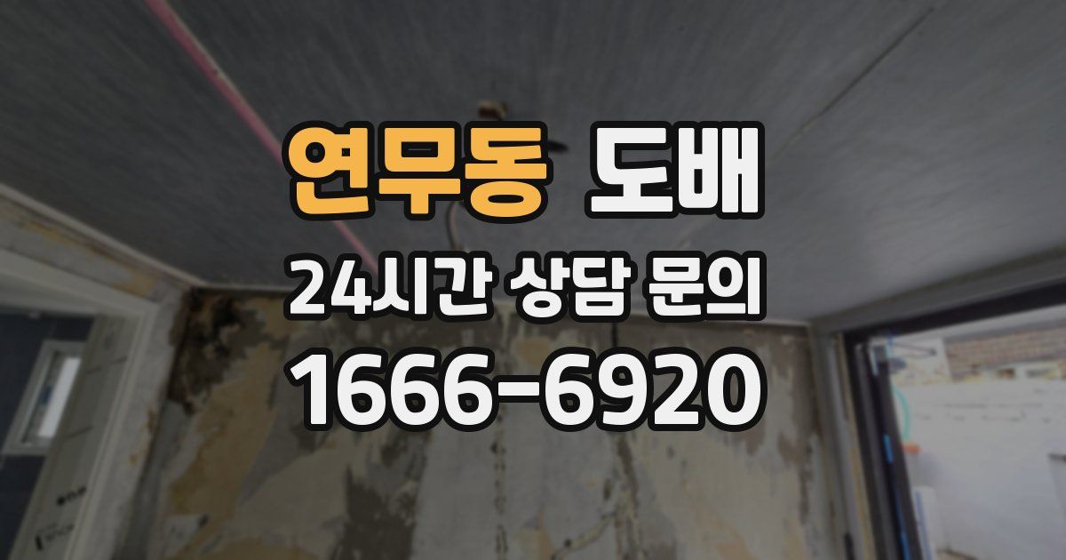 연무동 도배