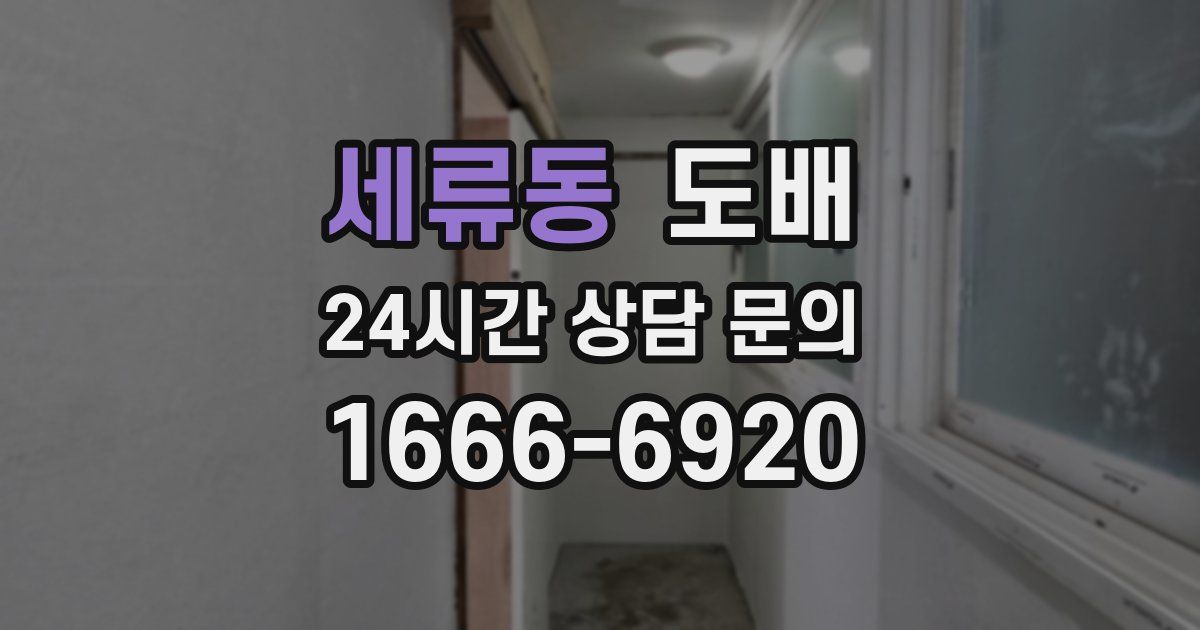 세류동 도배