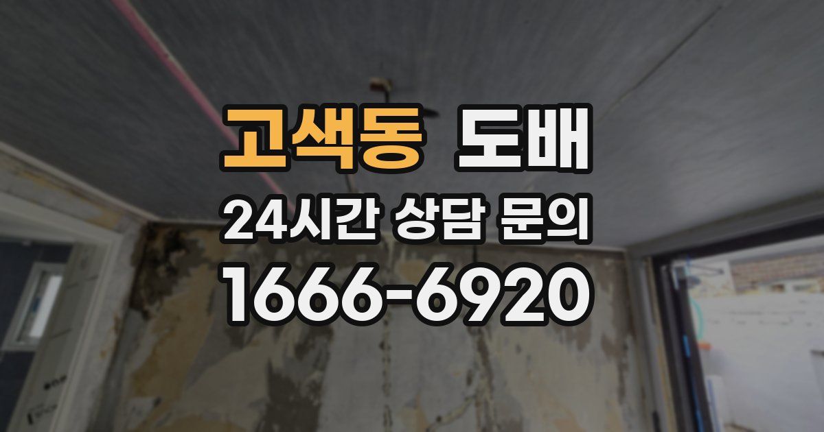 고색동 도배