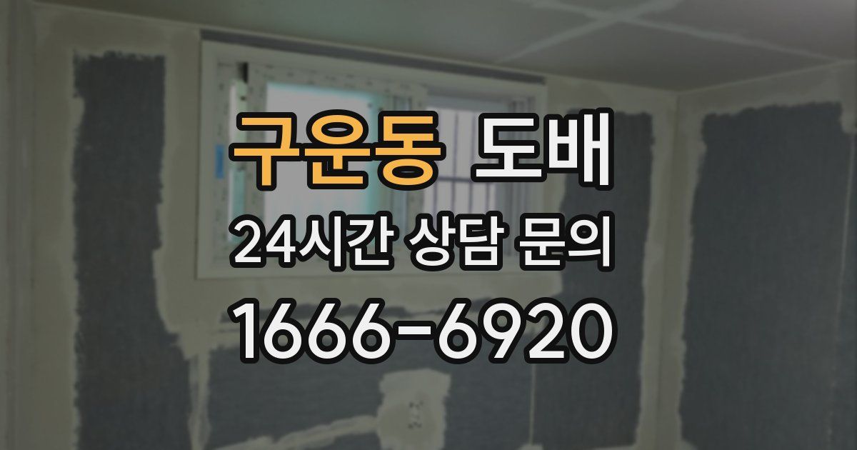 구운동 도배