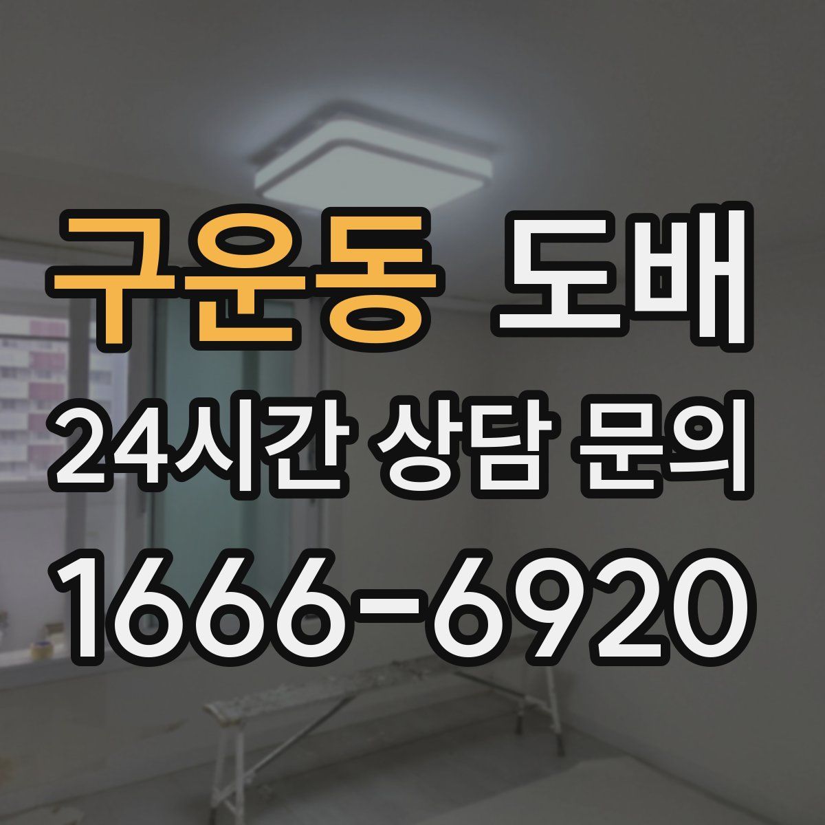 구운동 도배