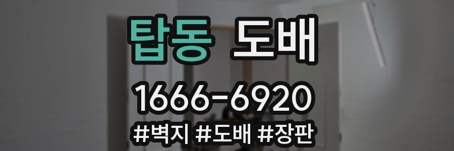 탑동 도배