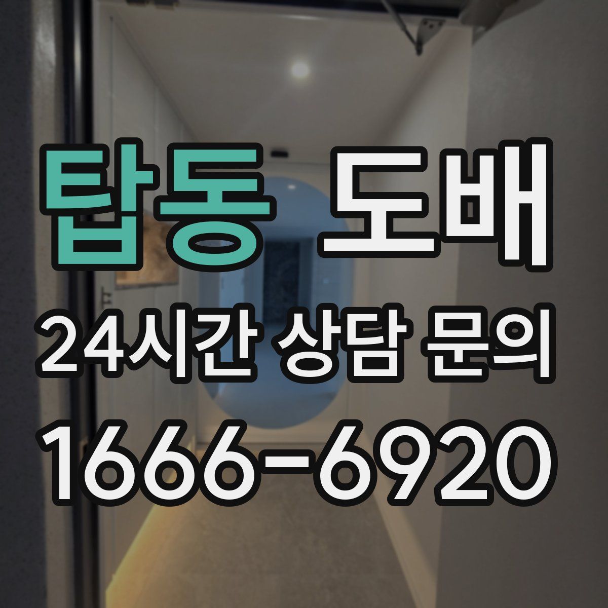 탑동 도배