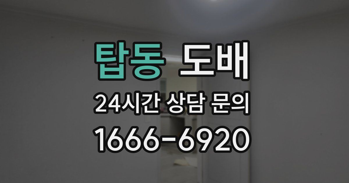 탑동 도배