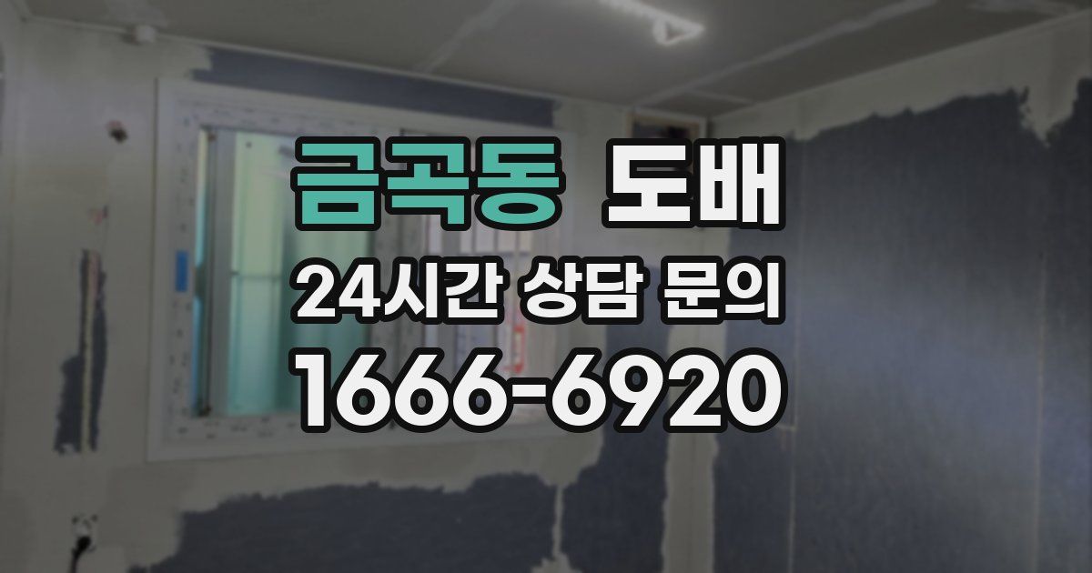 금곡동 도배