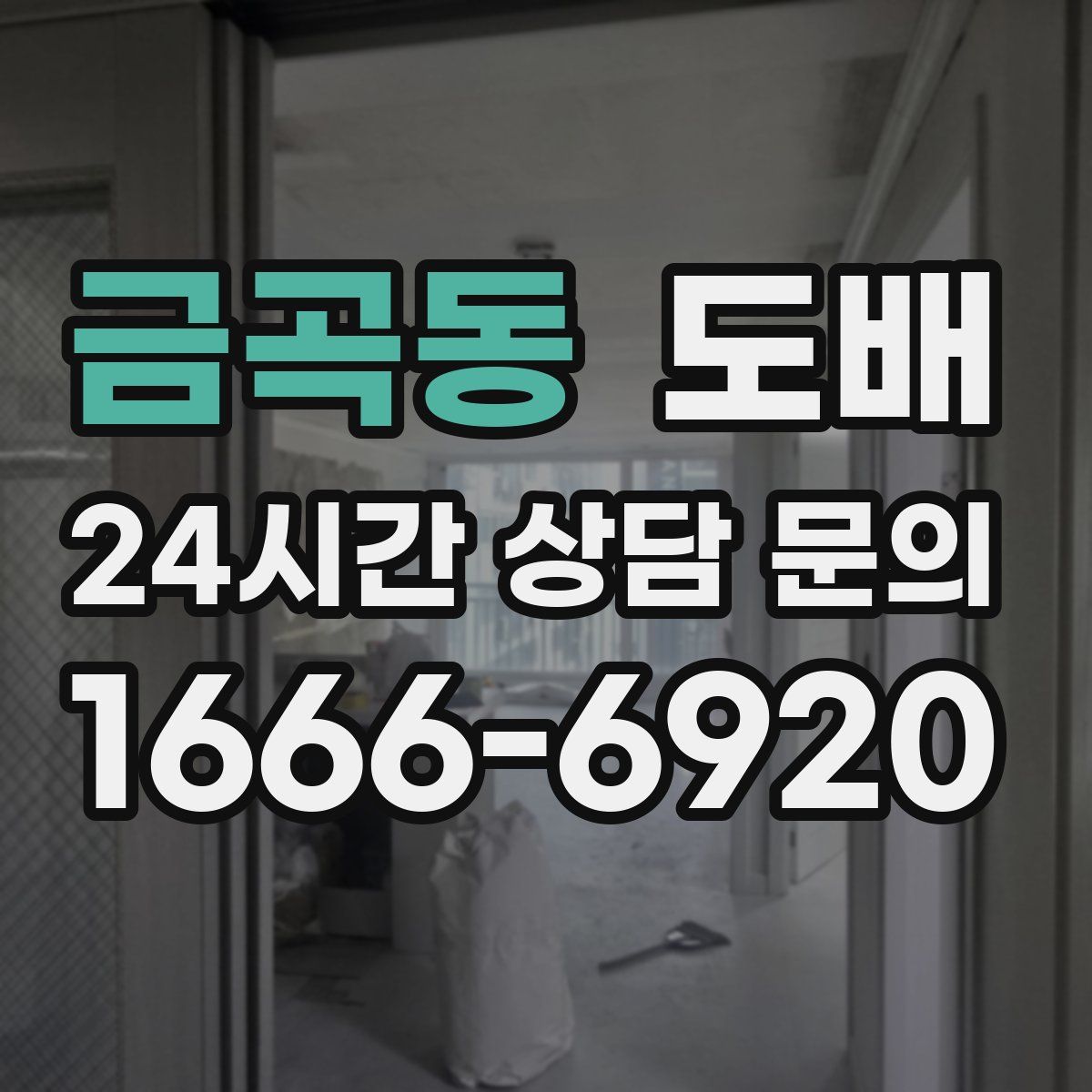 금곡동 도배