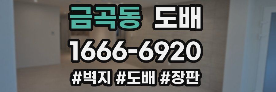 금곡동 도배