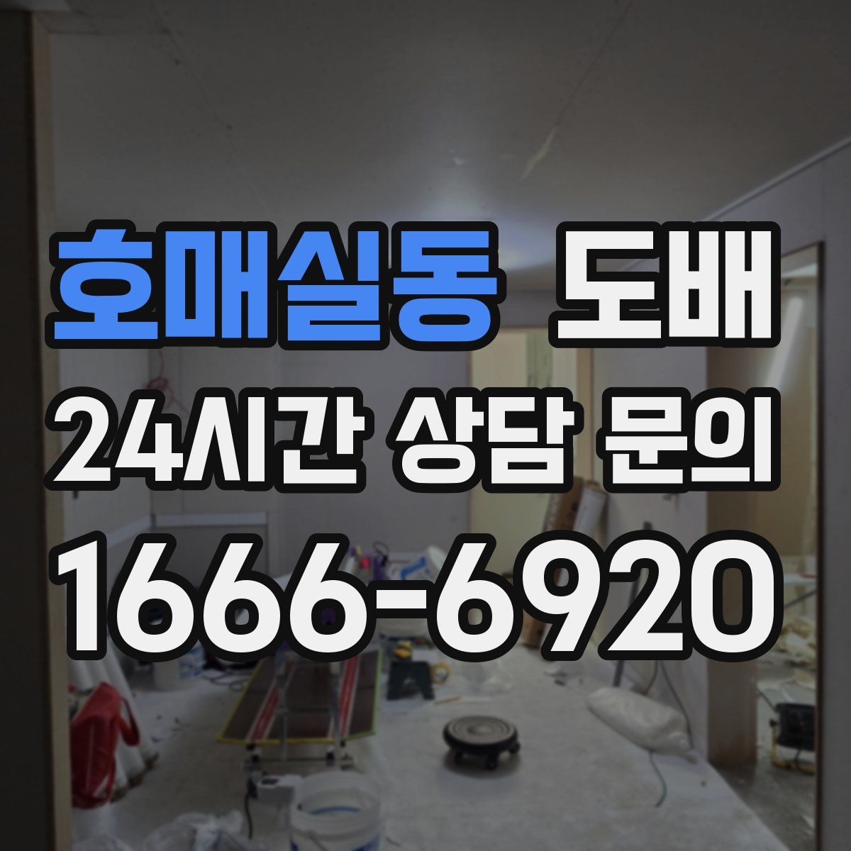 호매실동 도배