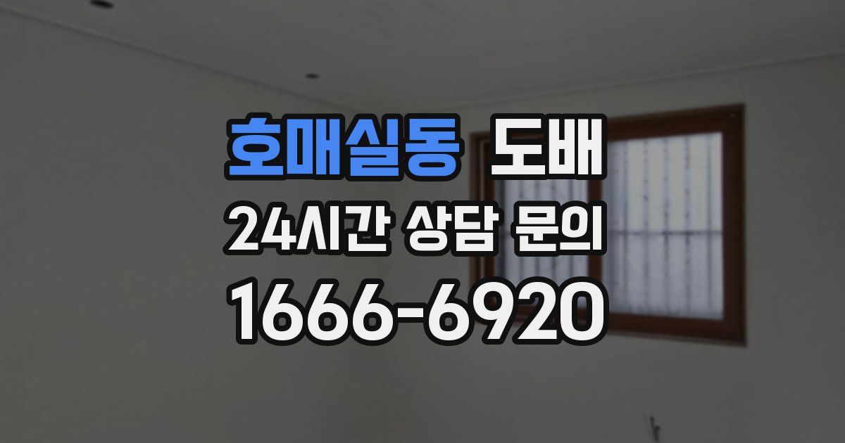 호매실동 도배