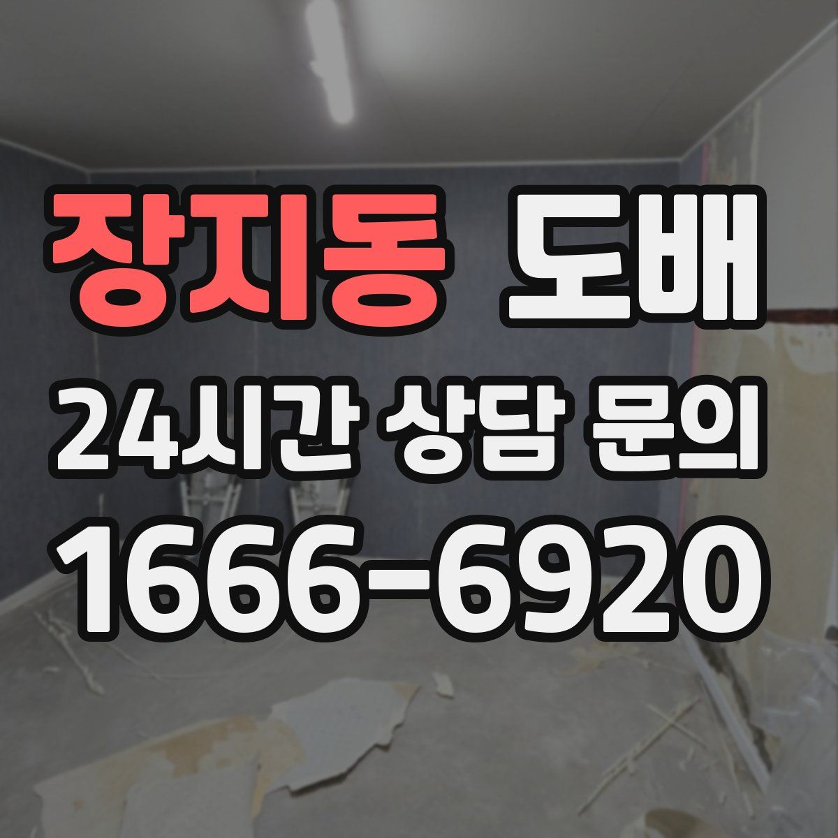 장지동 도배