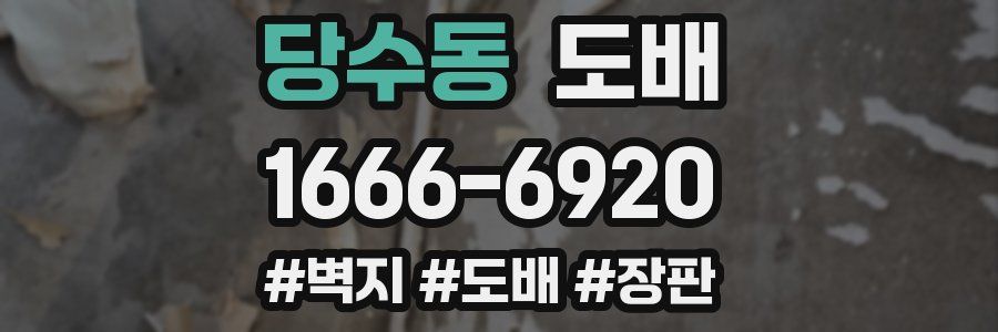 당수동 도배